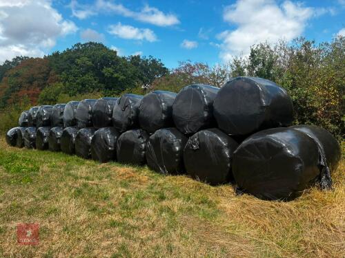 35 ROUND BALES OF 2026 HAYLAGE - BIDS PER BALE