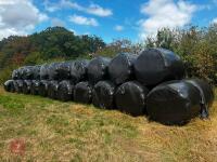 35 ROUND BALES OF 2026 HAYLAGE - BIDS PER BALE