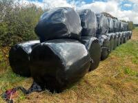 35 ROUND BALES OF 2026 HAYLAGE - BIDS PER BALE - 3