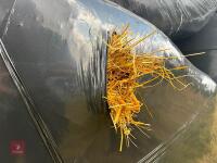35 ROUND BALES OF 2026 HAYLAGE - BIDS PER BALE - 8