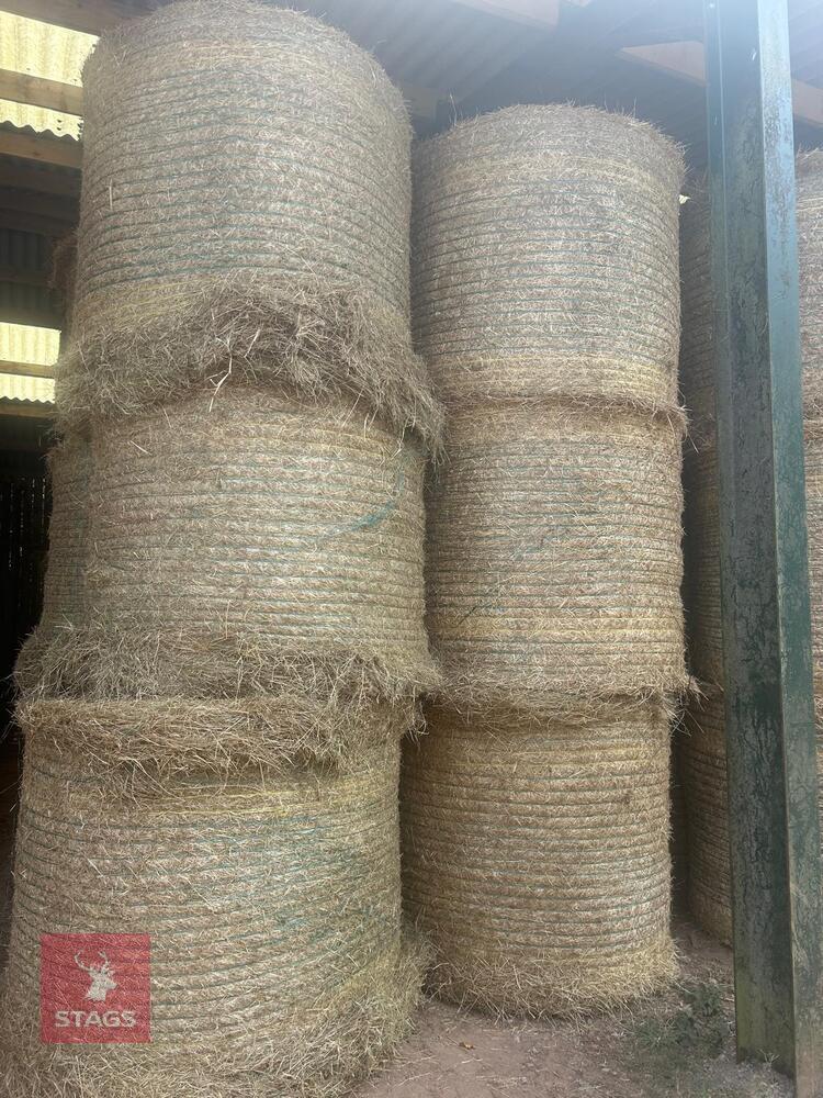 20 ROUND BALES OF 2026 HAY - BIDS PER BALE