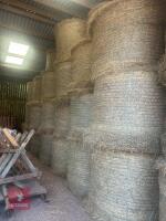 20 ROUND BALES OF 2026 HAY - BIDS PER BALE - 2