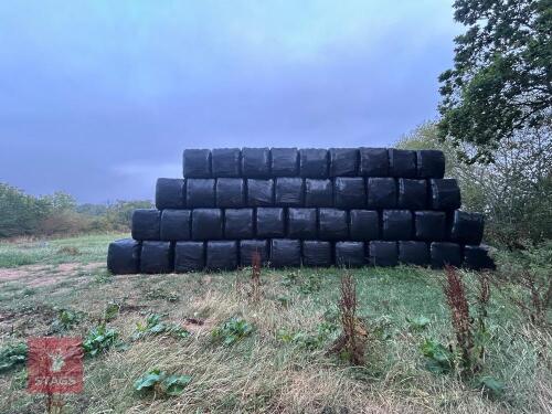 28 SQUARE BALES OF 2026 HAYLAGE - BIDS PER BALE
