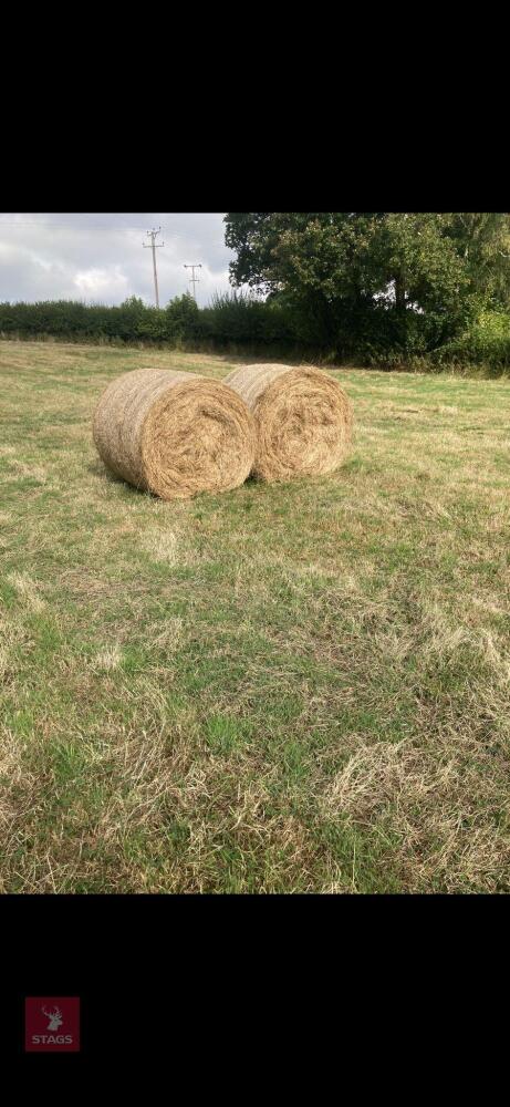 50 ROUND BALES OF 2026 HAY - BIDS PER BALE