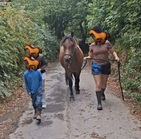 4YO 13.2HH DARTMOOR GELDING - 9