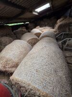 18 ROUND BALES OF 2026 HAY - BIDS PER BALE - 2