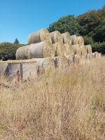 46 ROUND BALES OF 2026 HAY - BIDS PER BALE