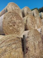 46 ROUND BALES OF 2026 HAY - BIDS PER BALE - 2