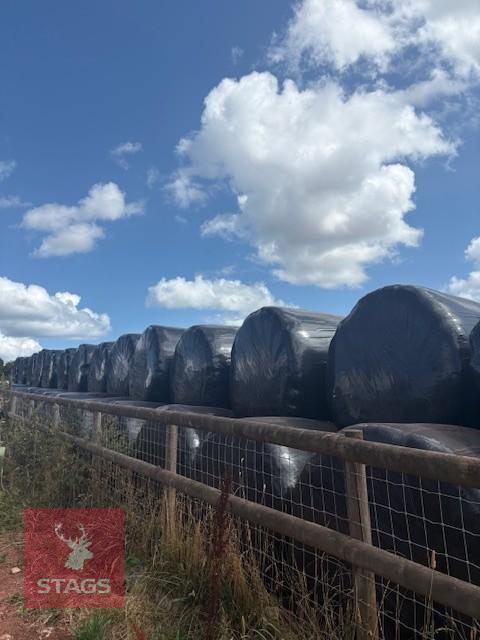 70 ROUND BALES OF 2026 HAYLAGE - BIDS PER BALE