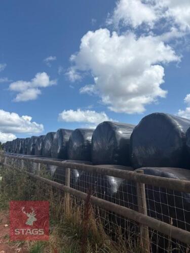 70 ROUND BALES OF 2026 HAYLAGE - BIDS PER BALE