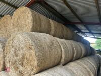 120 ROUND BALES OF 2026 MEADOW HAY - BIDS PER BALE - 3