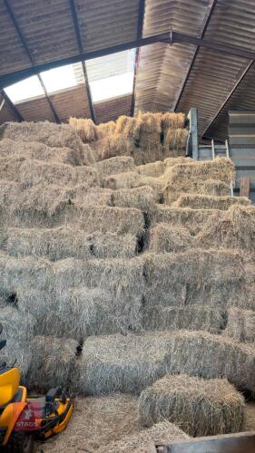 100 CONVENTIONAL BALES OF 2026 HAY - BIDS FOR THE GROUP