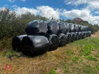 35 ROUND BALES OF 2026 HAYLAGE - BIDS PER BALE - 2