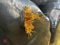 35 ROUND BALES OF 2026 HAYLAGE - BIDS PER BALE - 4