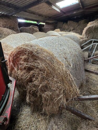 18 ROUND BALES OF 2026 HAY - BIDS PER BALE