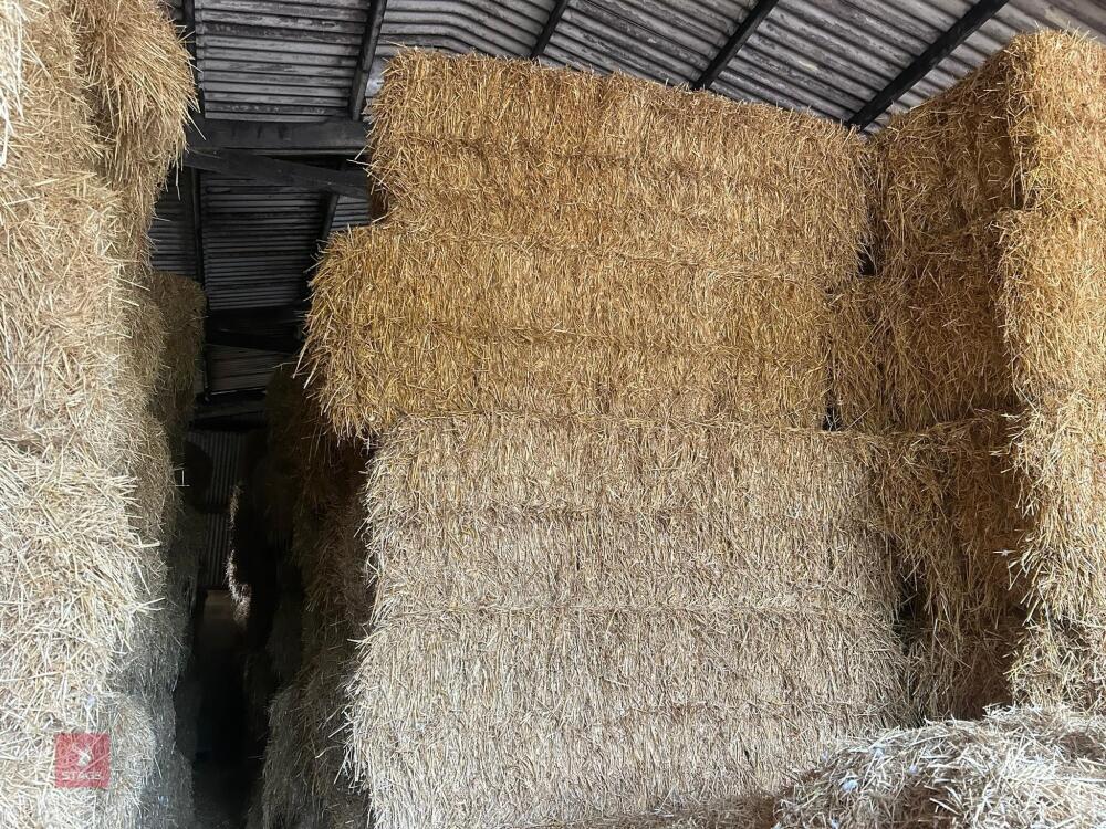 35 BALES OF 2025 WHEAT STRAW - BIDS PER BALE
