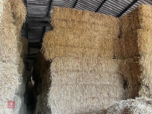 35 BALES OF 2025 WHEAT STRAW - BIDS PER BALE