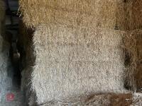 35 BALES OF 2025 WHEAT STRAW - BIDS PER BALE - 3