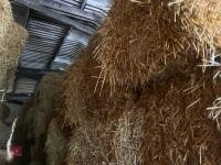 35 BALES OF 2025 WHEAT STRAW - BIDS PER BALE - 5