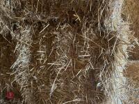 35 BALES OF 2025 WHEAT STRAW - BIDS PER BALE - 6