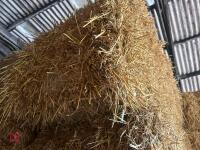 35 BALES OF 2025 WHEAT STRAW - BIDS PER BALE - 7