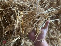 35 BALES OF 2025 WHEAT STRAW - BIDS PER BALE - 9