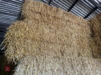 35 BALES OF 2025 WHEAT STRAW - BIDS PER BALE - 11