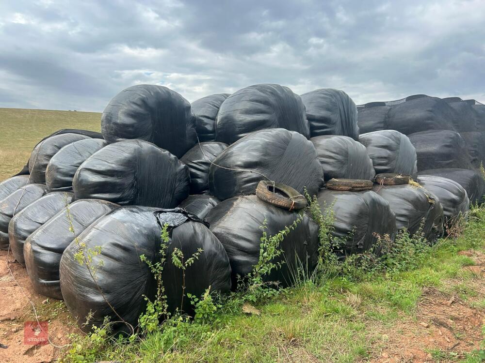 45 ROUND BALES OF 2024 HAYLAGE - BIDS PER BALE