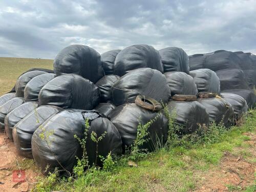 45 ROUND BALES OF 2024 HAYLAGE - BIDS PER BALE
