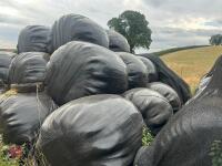 45 ROUND BALES OF 2024 HAYLAGE - BIDS PER BALE - 3