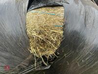 45 ROUND BALES OF 2024 HAYLAGE - BIDS PER BALE - 4