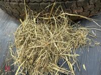 45 ROUND BALES OF 2024 HAYLAGE - BIDS PER BALE - 5
