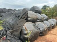 45 ROUND BALES OF 2024 HAYLAGE - BIDS PER BALE - 7
