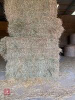 10 SQUARE BALES OF 2026 HAY - BIDS PER BALE