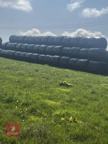 20 ROUND BALES OF 2026 HAYLAGE - BIDS PER BALE