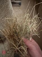 20 ROUND BALES OF 2026 HAY - BIDS PER BALE - 4
