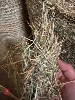 20 ROUND BALES OF 2026 HAY - BIDS PER BALE - 2