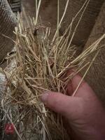 20 ROUND BALES OF 2026 HAY - BIDS PER BALE - 2