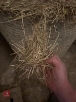 20 ROUND BALES OF 2026 HAY - BIDS PER BALE