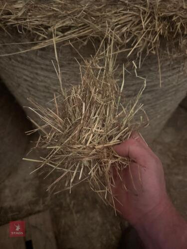 24 ROUND BALES OF 2026 HAY - BIDS PER BALE