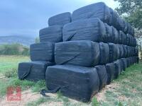 28 SQUARE BALES OF 2026 HAYLAGE - BIDS PER BALE - 2