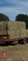28 SQUARE BALES OF 2026 HAYLAGE - BIDS PER BALE - 3