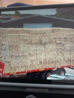 50 CONVENTIONAL BALES OF WHEAT STRAW - BIDS FOR THE GROUP