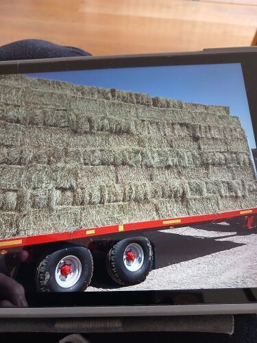 25 CONVENTIONAL BALES OF MEADOW HAY - BIDS FOR THE GROUP