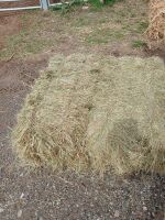 25 CONVENTIONAL BALES OF MEADOW HAY - BIDS FOR THE GROUP - 2