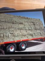50 CONVENTIONAL BALES OF MEADOW HAY - BIDS FOR THE GROUP