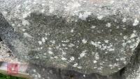 7 GRANITE STEPS - 8