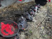 2012 LELY SPLENDIMO 320 CLASSIC MOWER - 34
