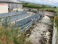 RITCHIE TROMBONE SHEEP HANDLING SYSTEM - 4