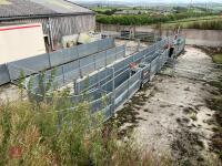 RITCHIE TROMBONE SHEEP HANDLING SYSTEM - 5
